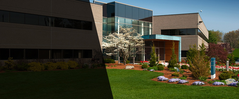 Santa Paula Landscapers