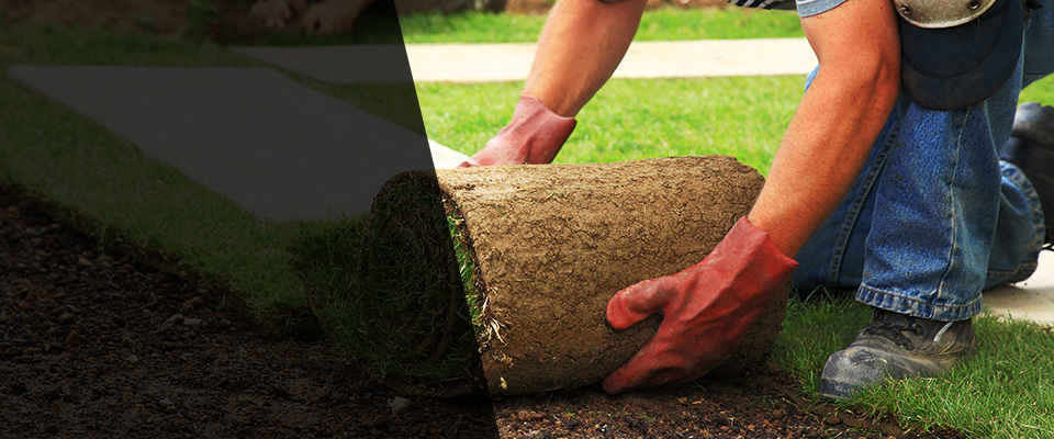 Santa Paula Landscapers